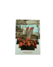 Afbeelding in Gallery-weergave laden, Postkaart